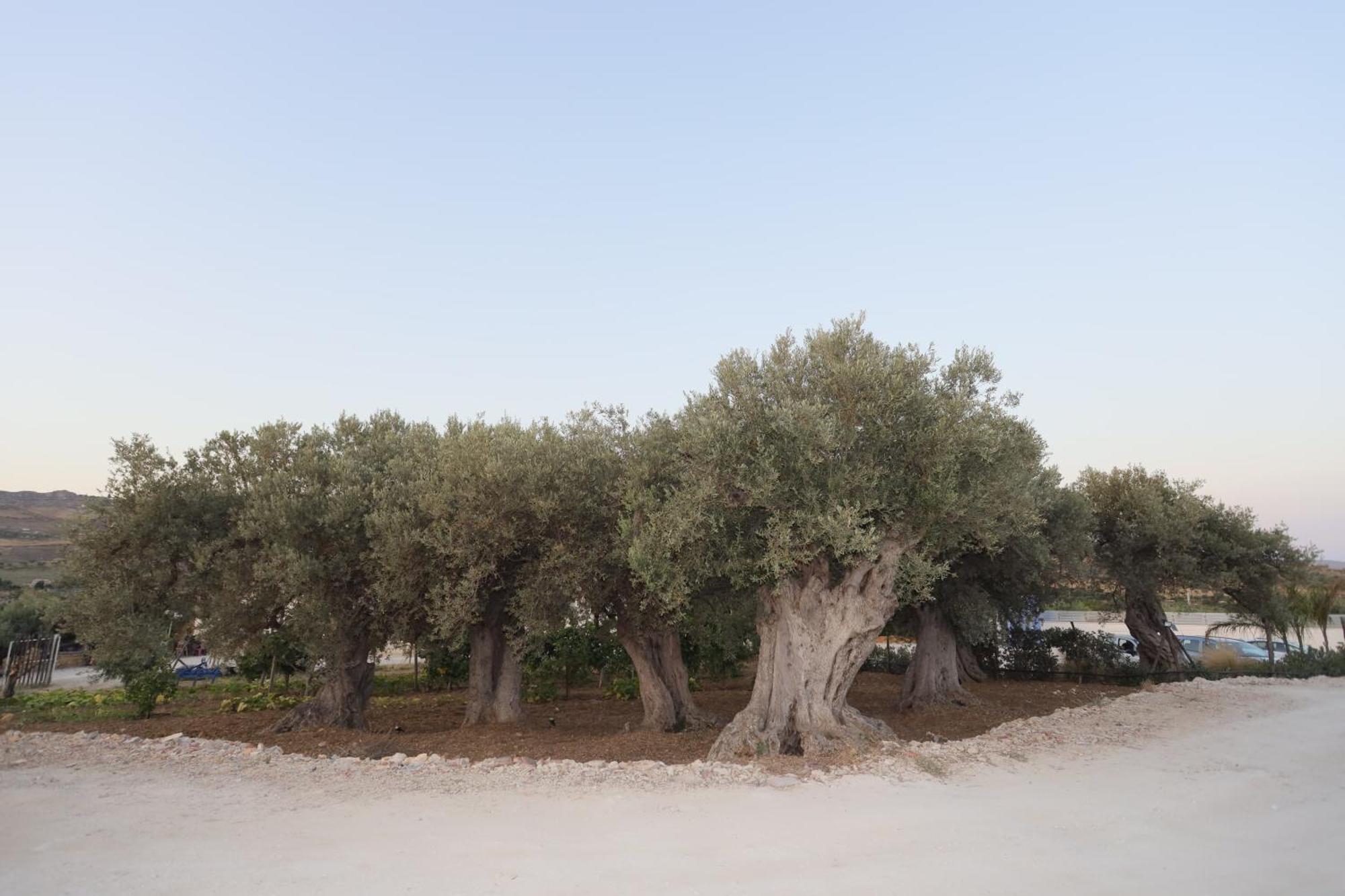 Relais Dea Degli Ulivi Hotel Agrigento Luaran gambar